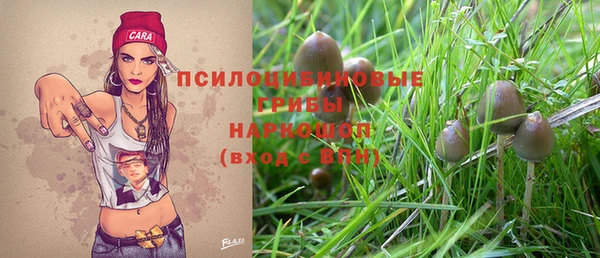 дурь Касимов