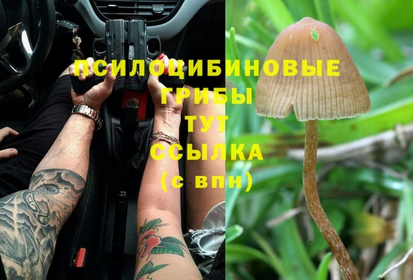 дурь Касимов
