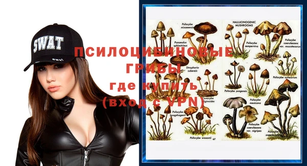 крисы Карпинск