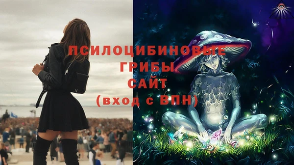 дурь Касимов