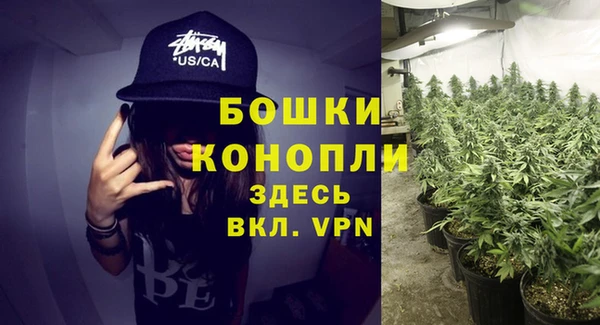 дурь Касимов