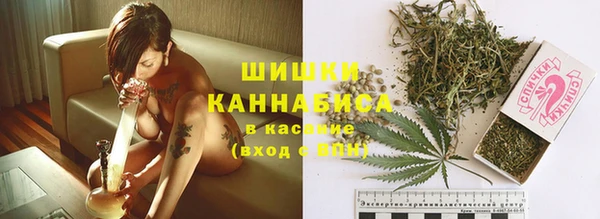 крисы Карпинск